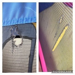 【取引決定】ボールプールとボールセットの画像