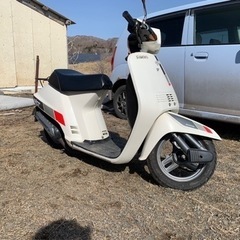 タクト