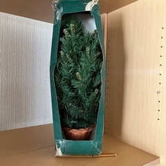 クリスマスツリーの画像