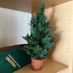 クリスマスツリー