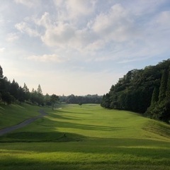 平日ゴルフメンバー募集🏌️‍♂️