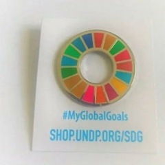 正規品 SDGs 国連 17色 公式 ピンバッジ 襟章 留め具 日本未発売の画像