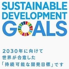 正規品 SDGs 国連 17色 公式 ピンバッジ 襟章 留め具 日本未発売の画像