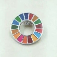 正規品 SDGs 国連 17色 公式 ピンバッジ 襟章 留め具 日本未発売の画像