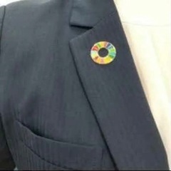 正規品 SDGs 国連 17色 公式 ピンバッジ 襟章 留め具 日本未発売の画像