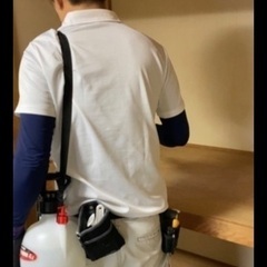 宮崎県で便利屋　害虫、害獣駆除の業務委託の画像