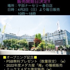 メダカ屋「庵」〜2023年度の販売開始イベント〜