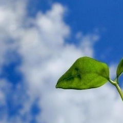 自分の強みを認識して、充実した毎日を過ごしませんか？