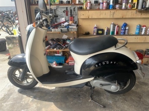 HONDA スクーピー　実働車両