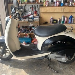 HONDA スクーピー　実働車両