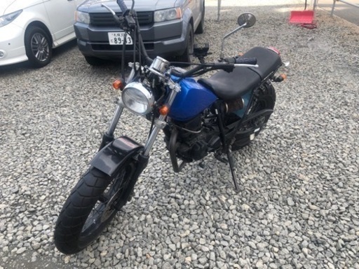 早い者勝ち】価格高騰中のYAMAHA 人気 TW200 スカチューン仕様