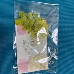 イアリング、ピアス　キット