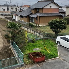 シュロ