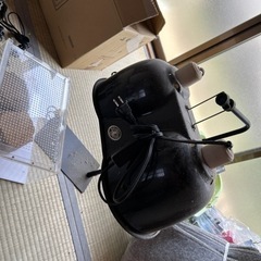 爬虫類飼育の画像
