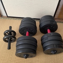 25kg✖️2個ダンベル+腹筋ローラー
