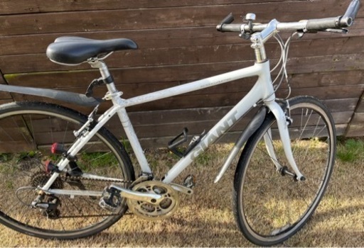 手渡し甲府市☆ジャイアント☆エスケープ☆R3