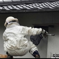 山口県で害虫や害獣駆除、便利屋を業務委託で募集！の画像
