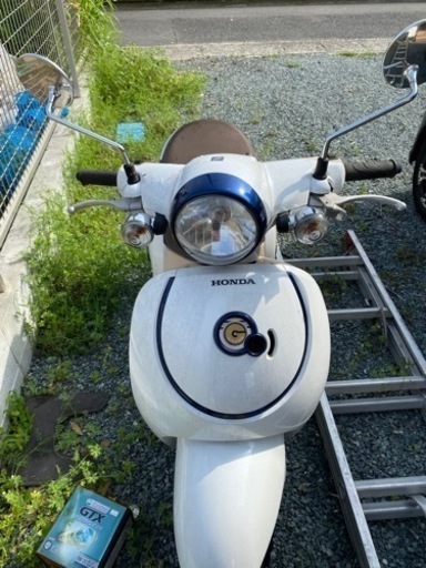 原付き　ジョルノ