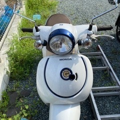 原付き　ジョルノ