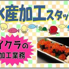【北見から送迎あり☆】いくら加工スタッフ〈遠軽〉