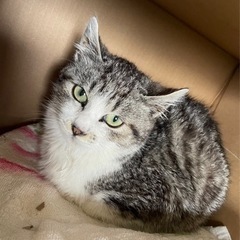 募集終了します