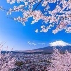 お花好きな方いませんか？
