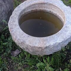 石の水鉢おおきめの画像