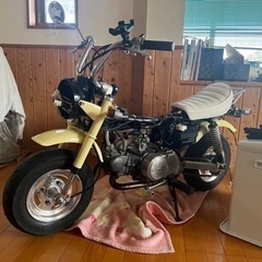 z50j モンキー 12v