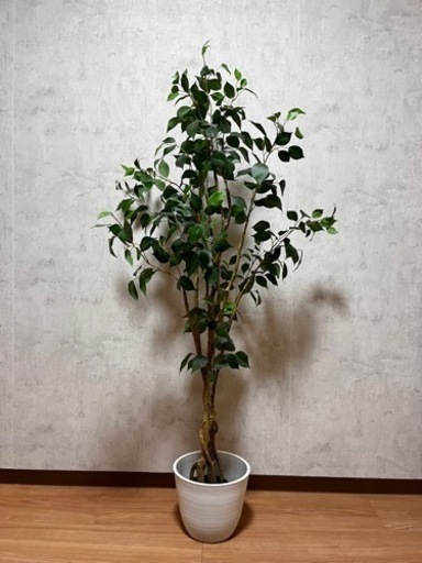 【150センチ】観葉植物　フェイクグリーン　ニトリ　フィカス