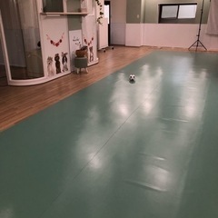 ワンコミーティングしましょ😊 - 友達