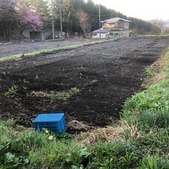 畑で野菜作ってみませんか？🍆🌽🍅