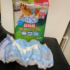 ペット犬用マナーウェアー　オムツ　男の子用　長時間　41枚の画像