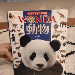 動物図鑑