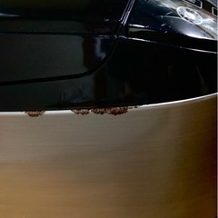 炊飯器　正常動作確認済　2017年製の画像