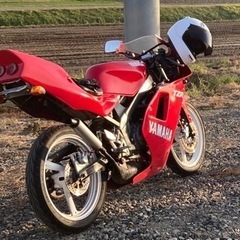 YAMAHA TZR50R の画像