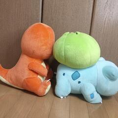 ポケモン ぬいぐるみ ヒトカゲ フシギダネの画像