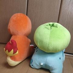 ポケモン ぬいぐるみ ヒトカゲ フシギダネの画像