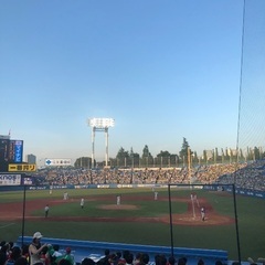 4月8日（土）野球⚾️練習　神宮軟式野球場 − 東京都