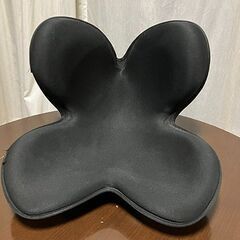 MTG 骨盤サポートチェア の画像