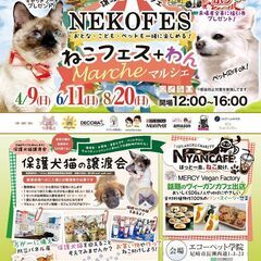 ねこフェス+わん マルシェみんなの譲渡会／4月9日