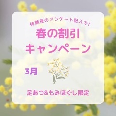 春の割引キャンペーン✨