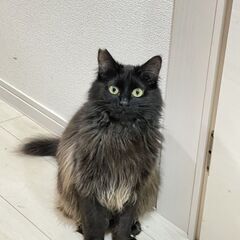 生後10ヶ月、とってもおしゃべりさん