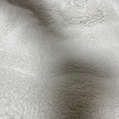 差し上げます　ふかふかのコタツ布団 と1畳用カーペットの画像