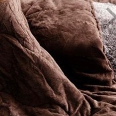 差し上げます　ふかふかのコタツ布団 と1畳用カーペットの画像