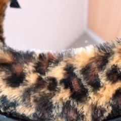 【美品】ふわふわ♡ヒョウ柄/レオパード♡スタンドミラー♡の画像