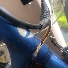 GIANT ESCAPE RX クロスバイクの画像