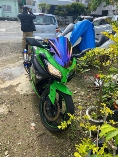 沖縄を離れるため手放します