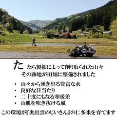 【令和4年産】仁多米(20kg)の画像