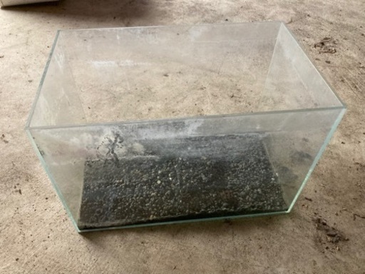 水槽引退セット　