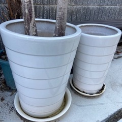 オシャレな植木鉢　陶器2個セット　特大
